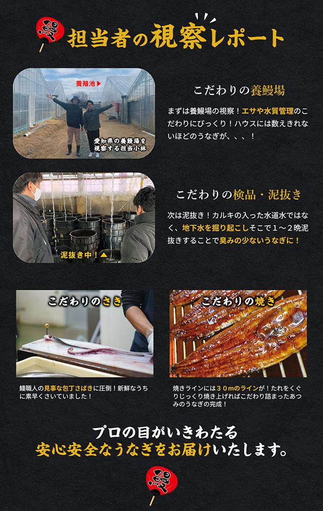 愛知県三河産うなぎ蒲焼　１２０ｇ・１８０ｇ