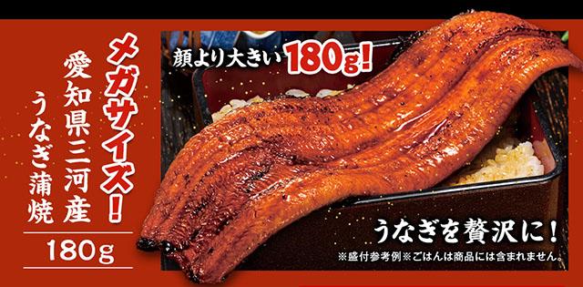 愛知県三河産うなぎ蒲焼　１８０ｇ