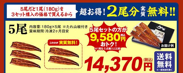 愛知県三河産うなぎ蒲焼　１８０ｇ