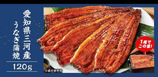 愛知県三河産うなぎ蒲焼　１２０ｇ