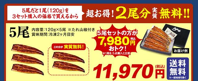 愛知県三河産うなぎ蒲焼　１２０ｇ