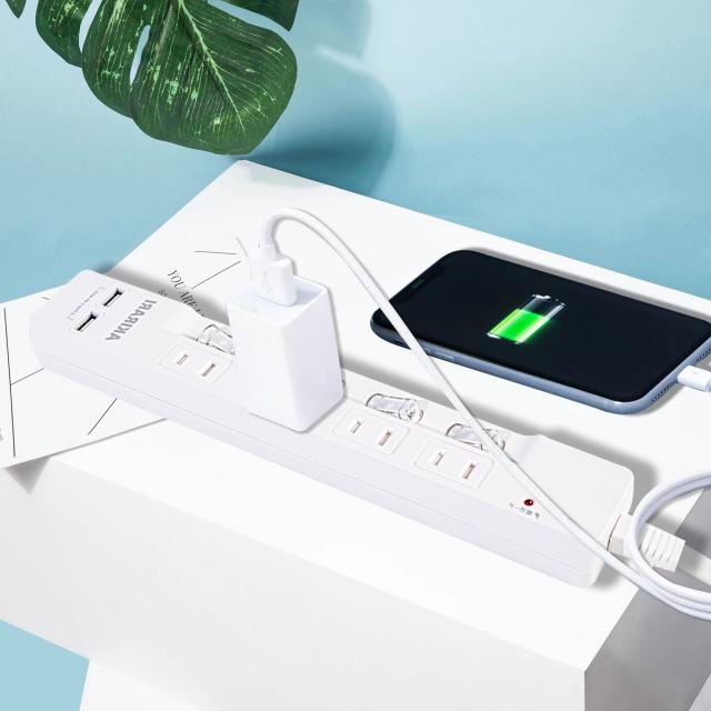 電源タップ 個別スイッチ 雷ガード