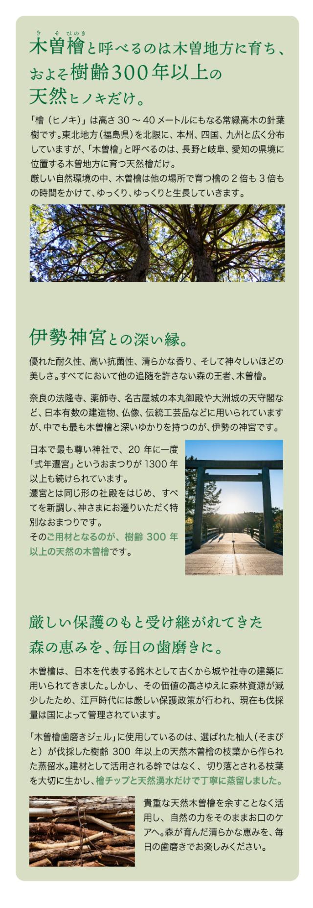 木曽檜歯磨きジェル