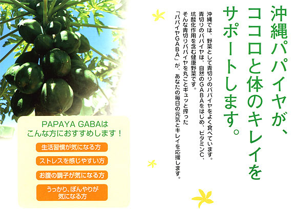 沖縄産青切りパパイヤ　パパギャバ