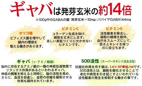 沖縄産青切りパパイヤ　パパギャバ