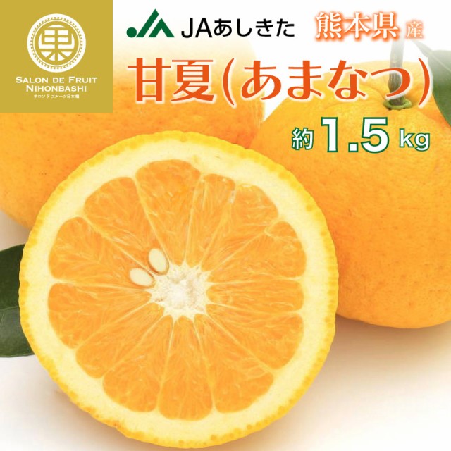 甘夏みかん　甘夏　[予約　お年賀　柑橘　熊本　熊本県産ほか高品位　2024年1月4日-1月15日の納品]　あまなつ　約1.5kg　夏みかん　御年賀