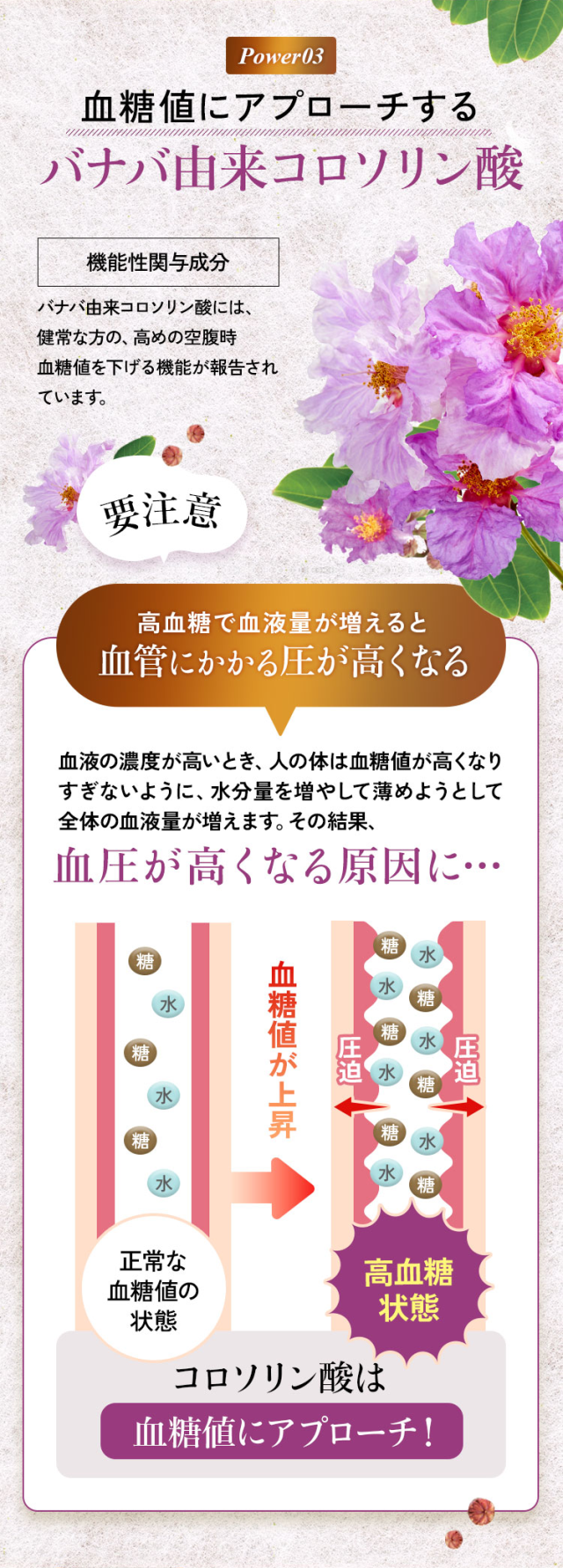 これひとつ,血圧 サプリ,血圧 下げる 飲み物,血圧 下げる,高血圧 サプリ,コレステロール 下げる サプリメント,コレステロール サプリ,コレステロールを下げる,血糖値 コレステロール 下げる サプリメント