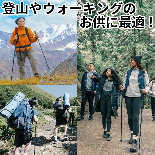 トレッキングポールの詳細画像1
