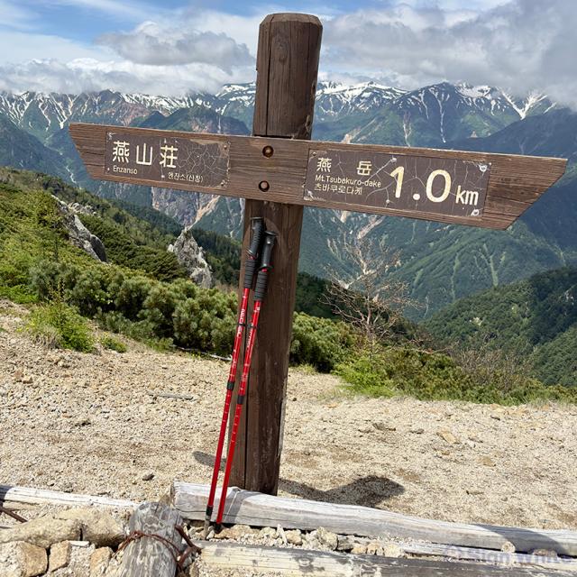 トレッキングポールの詳細画像9