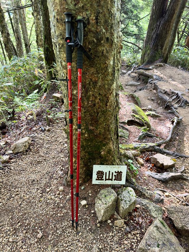 トレッキングポールの詳細画像10