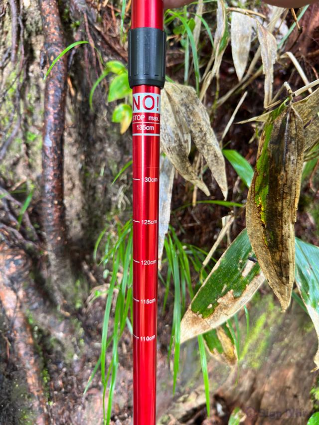 トレッキングポールの詳細画像12