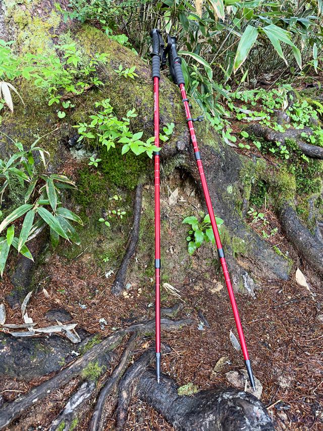 トレッキングポールの詳細画像14