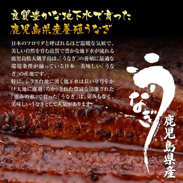 うなぎ説明1