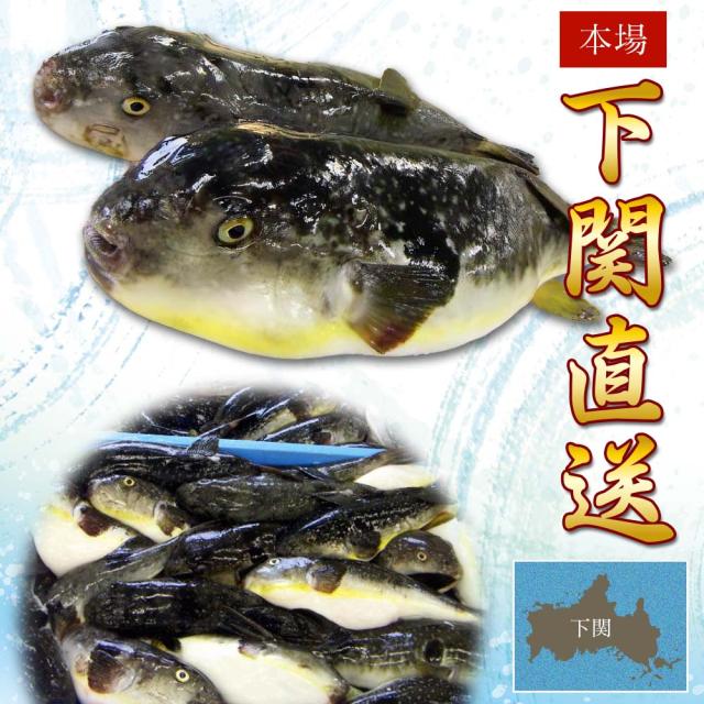 博多かんべえのとらふぐ刺身・ふぐちりセット2人前