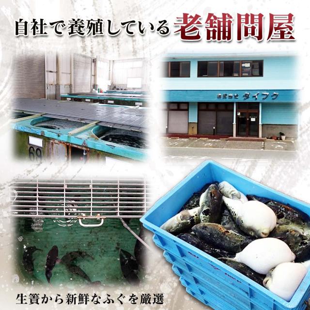 博多かんべえのとらふぐ刺身・ふぐちりセット2人前