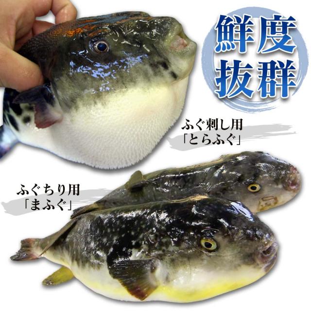 博多かんべえのとらふぐ刺身・ふぐちりセット2人前