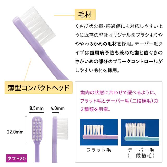 Dent1歯ブラシ flat311 / taper322