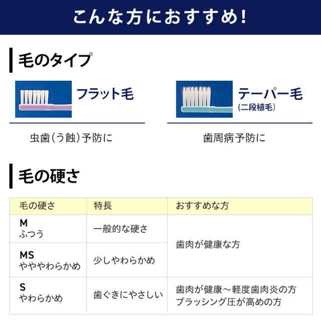 Dent1歯ブラシ flat311 / taper322