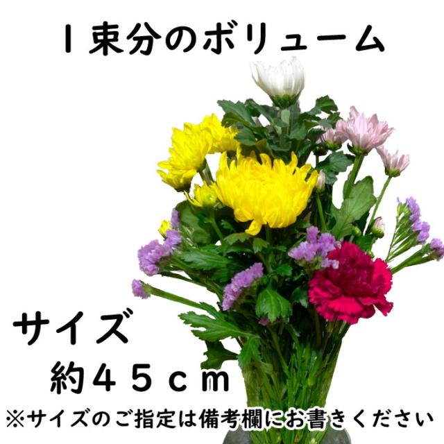 商品画像2