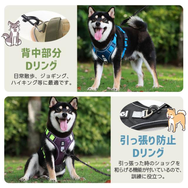 ペット用ハーネス＆リードセット