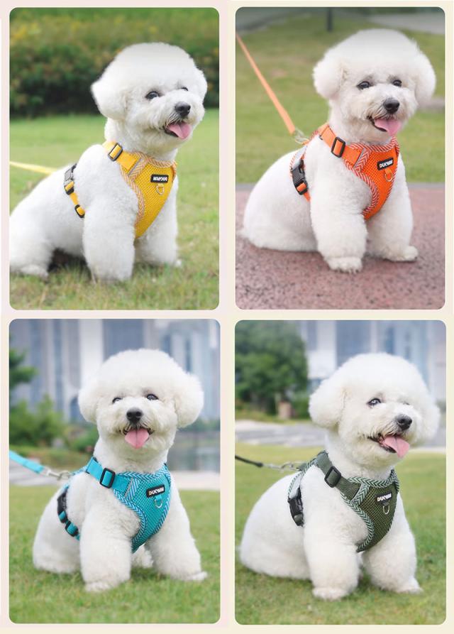 ペット用ハーネス＆リードセット