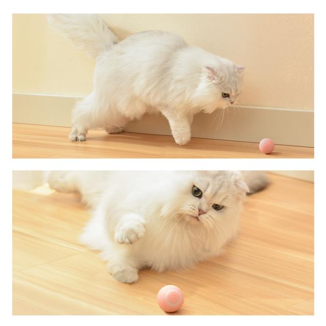 ボールおもちゃ