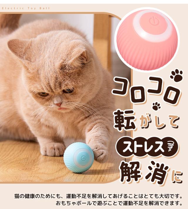 ボールおもちゃ