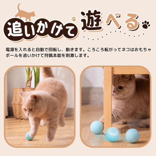 ボールおもちゃ