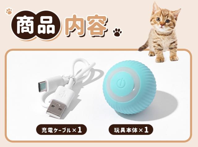 ボールおもちゃ