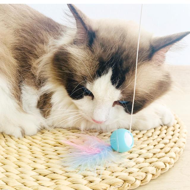 伸縮棒ねこじゃらし