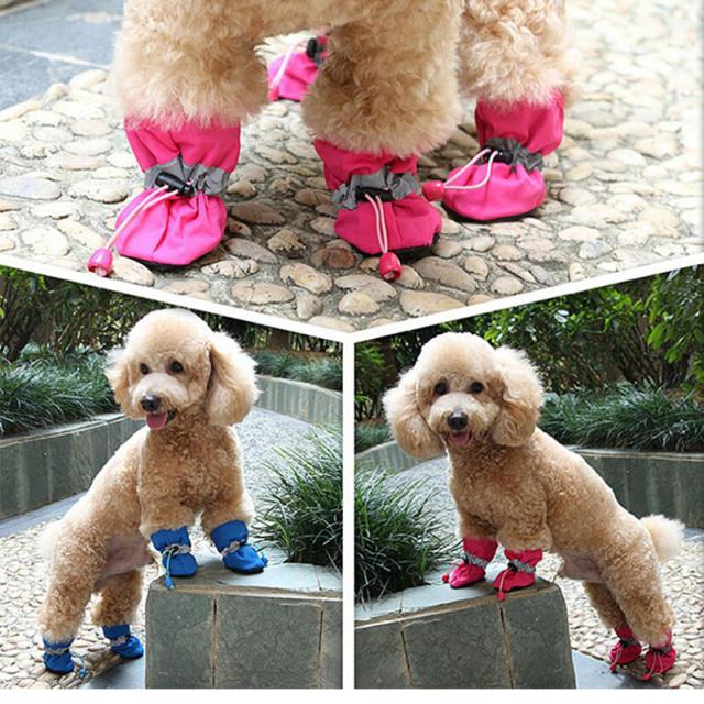 ドッグシューズ