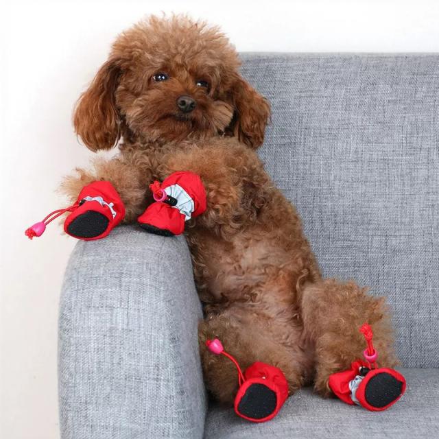 ドッグシューズ