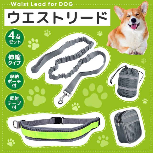ウエストリード リード 散歩用 ポーチ付き ファニーパック 訓練バッグ トレーニング用 小型犬 中型犬 