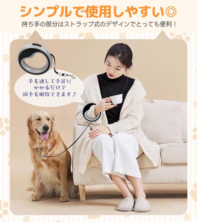 巻き取り式伸縮リード