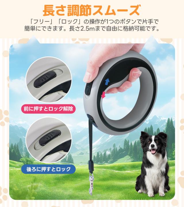 巻き取り式伸縮リード