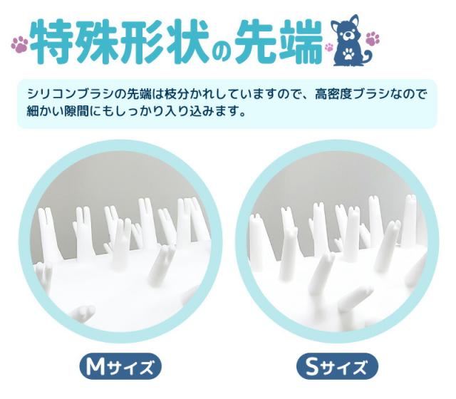 犬足洗い