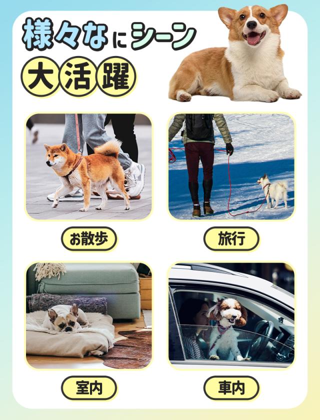 犬用給水器