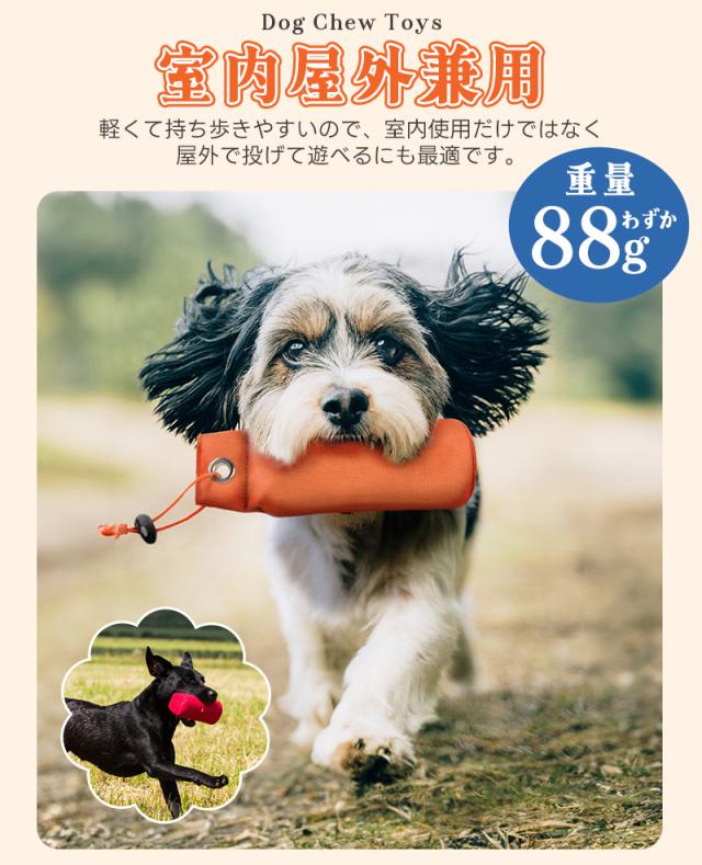 犬用おもちゃ