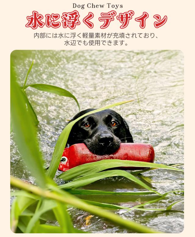 犬用おもちゃ
