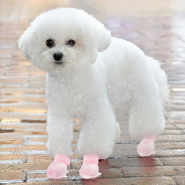 犬用シューズ4個セット