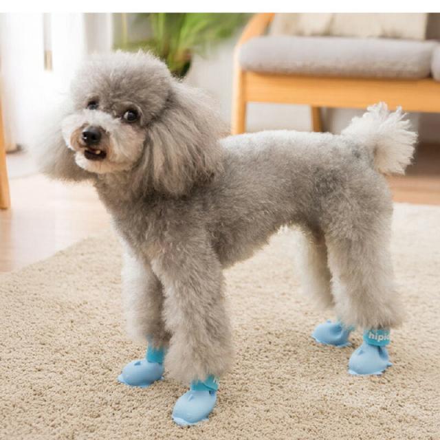 犬用シューズ4個セット