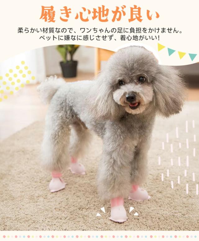 犬用シューズ4個セット