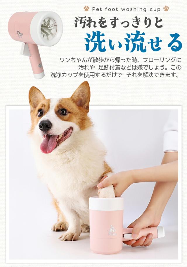 犬足洗い