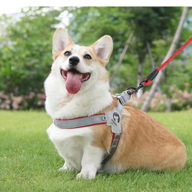 犬用ハーネス＆リードセット