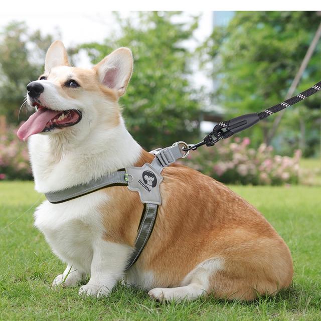 犬用ハーネス＆リードセット