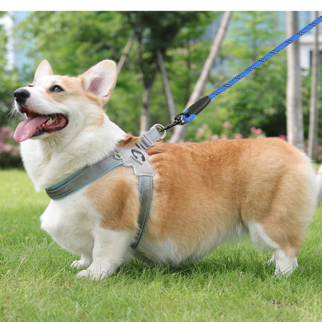 犬用ハーネス＆リードセット