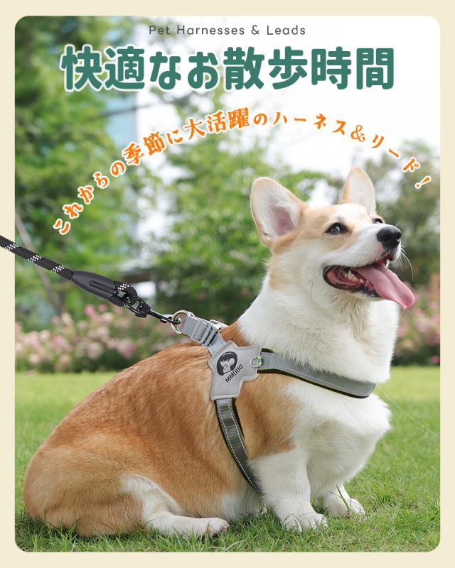 犬用ハーネス＆リードセット