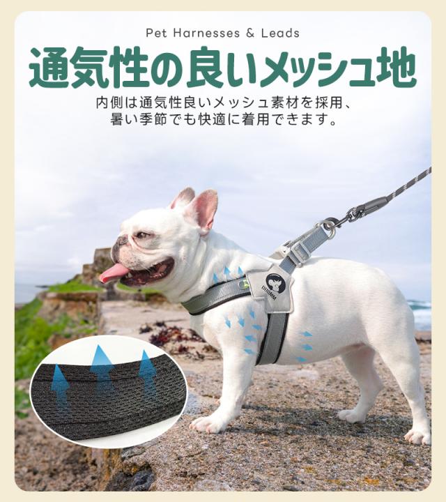 犬用ハーネス＆リードセット