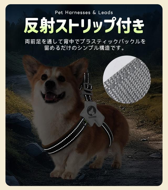 犬用ハーネス＆リードセット