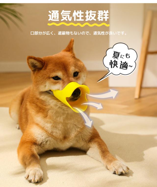 犬用口輪